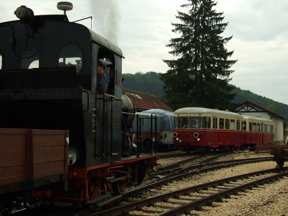 Zugkreuzung (Neresheim 08.08.2010)