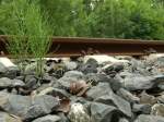 abseits der gro�en Eisenbahn