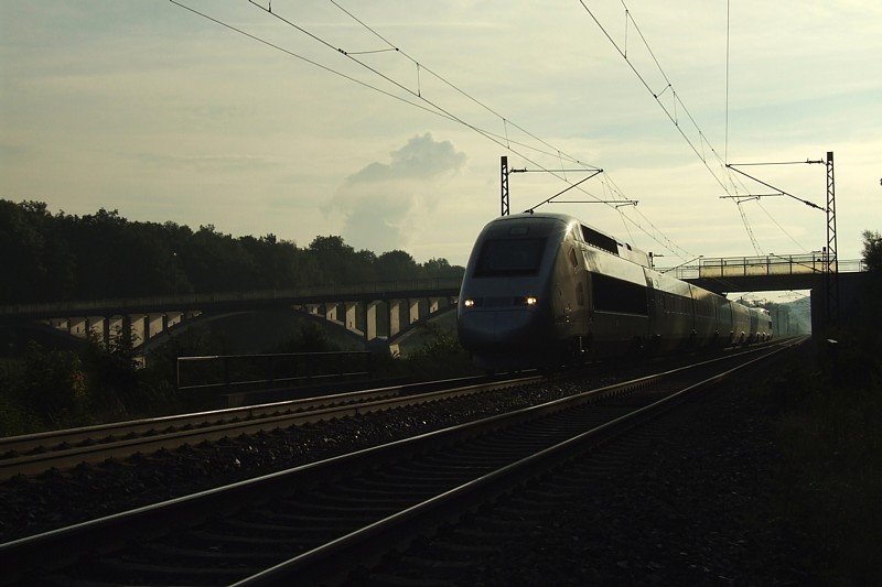 TGV 4413 am Morgen des 10.08.2008 kurz vor der Einfahrt Gnzburg.